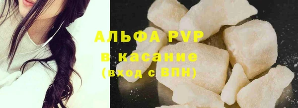 сатива Аркадак
