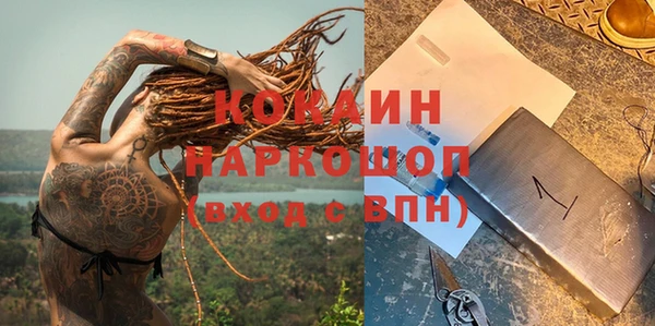 сатива Аркадак