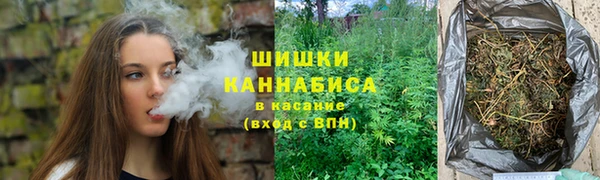 соль ск Алексин