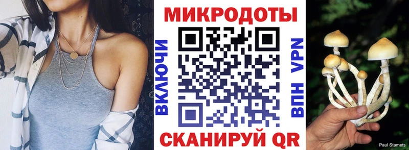 сайты даркнета наркотические препараты  hydra как войти  Кирово-Чепецк  Галлюциногенные грибы мухоморы 